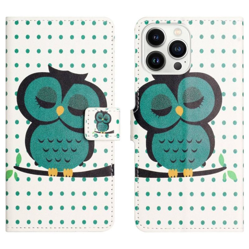 Kožené Puzdro iPhone 14 Pro Spiaca Sova