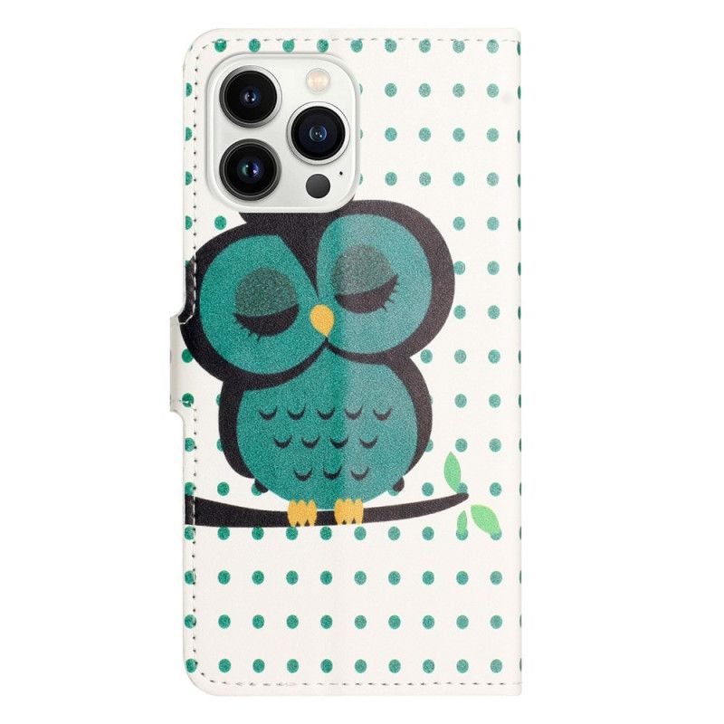 Kožené Puzdro iPhone 14 Pro Spiaca Sova
