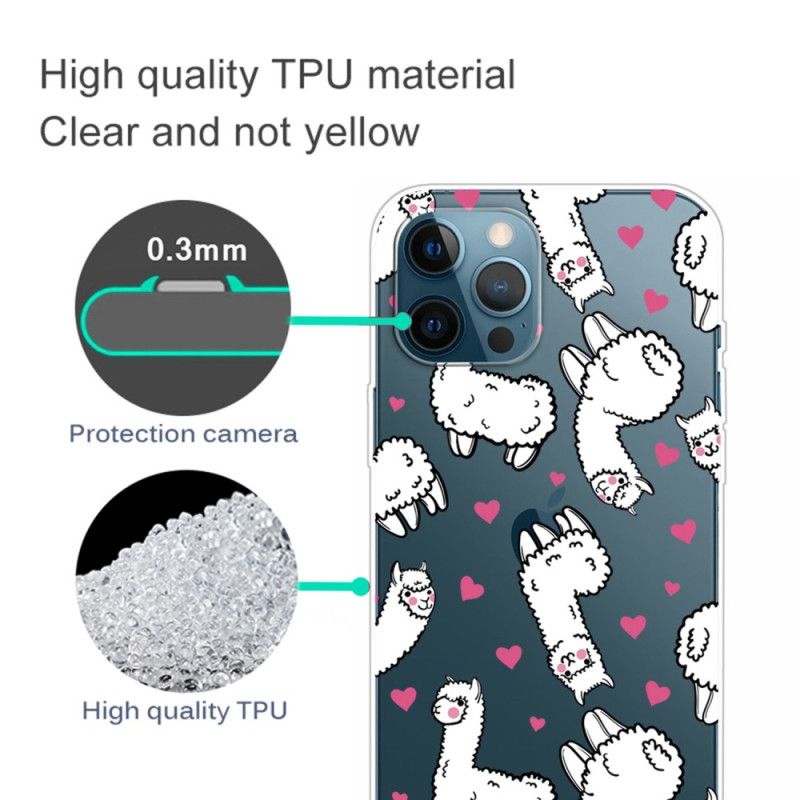 Kryt iPhone 14 Pro Transparentné Lamy